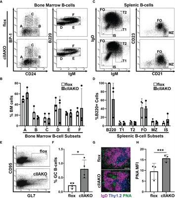 Non-Muscle Myosin II Is Essential for the Negative Regulation of B-Cell Receptor Signaling and B-Cell Activation